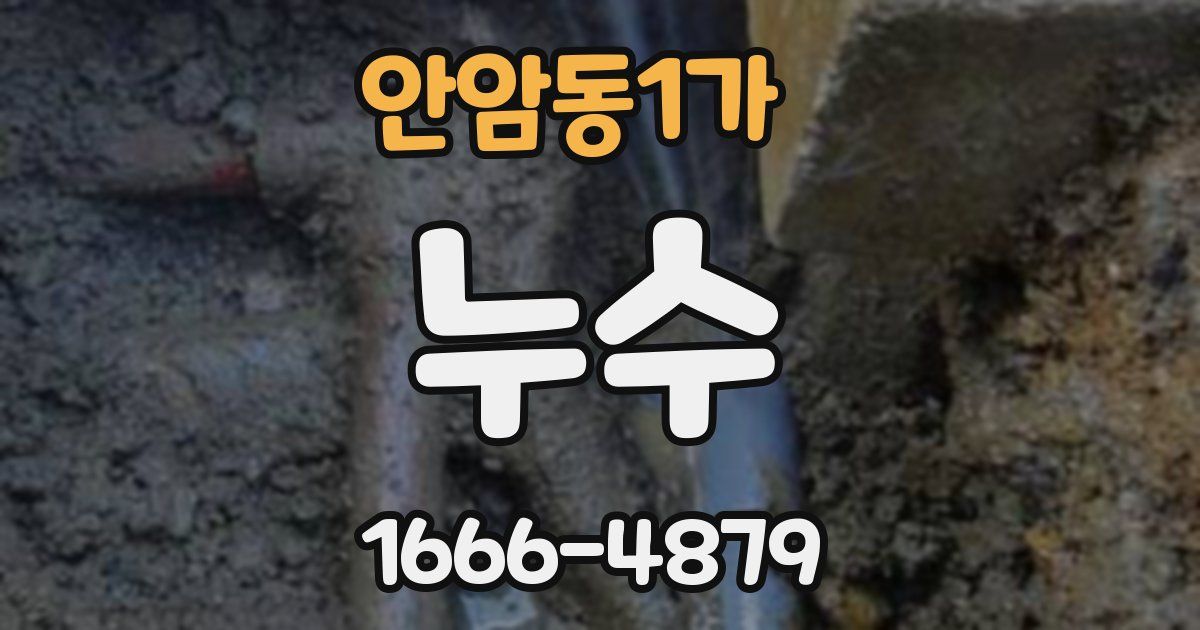안암동1가 누수