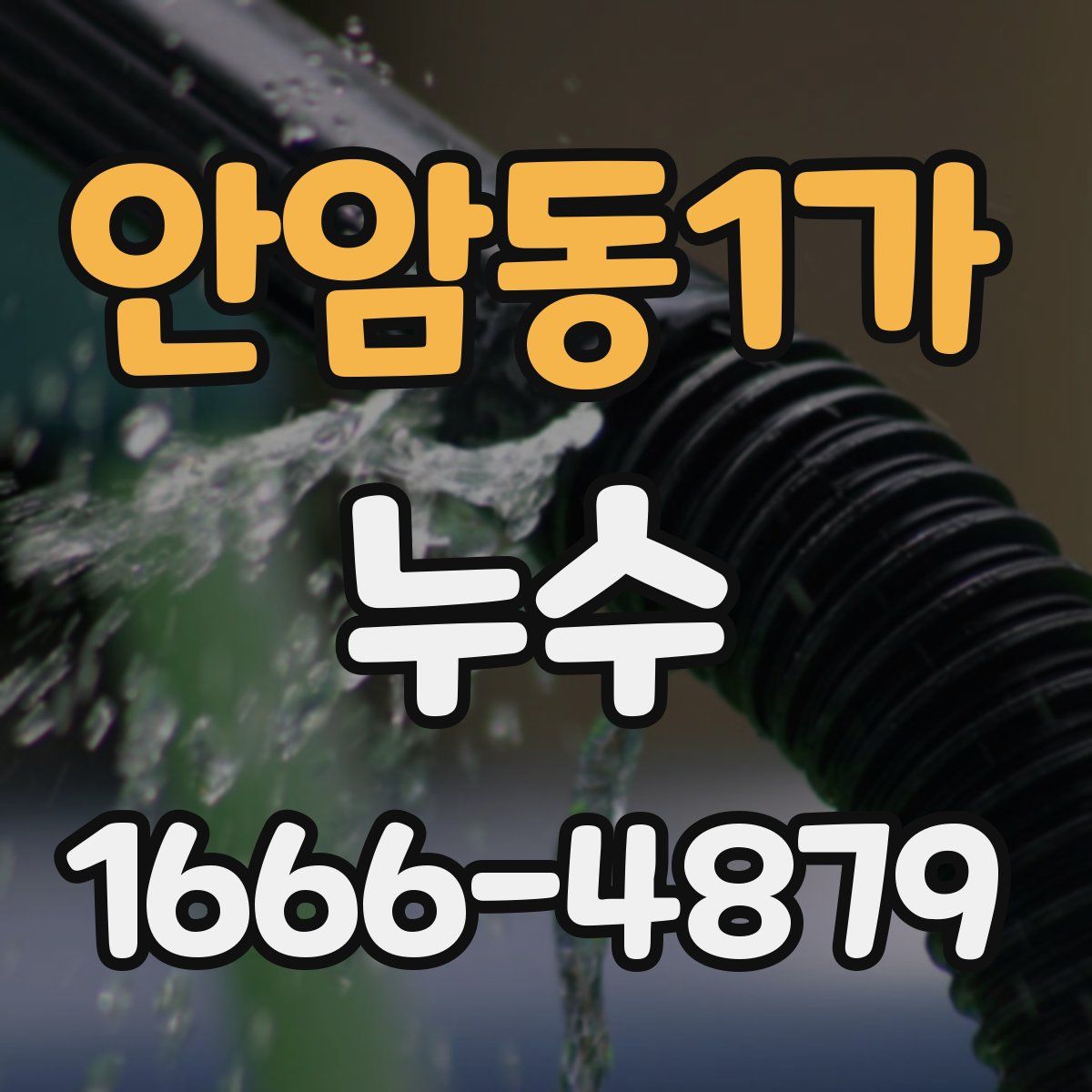안암동1가 누수