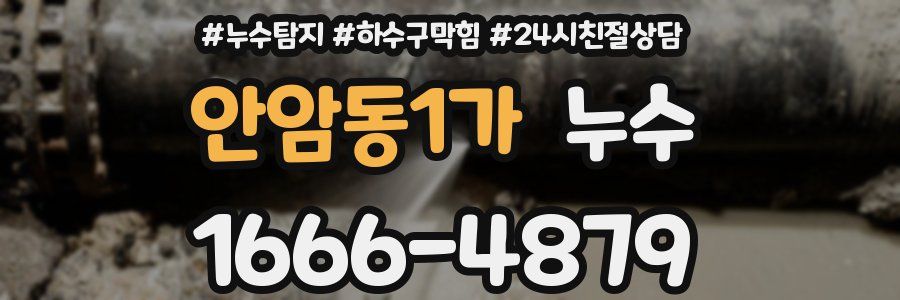 안암동1가 누수