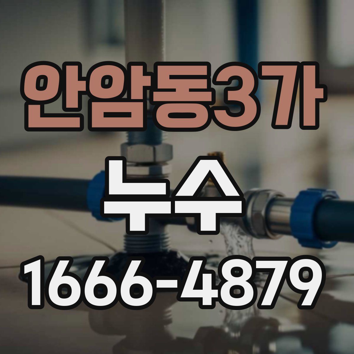안암동3가 누수