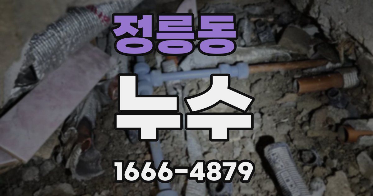 정릉동 누수