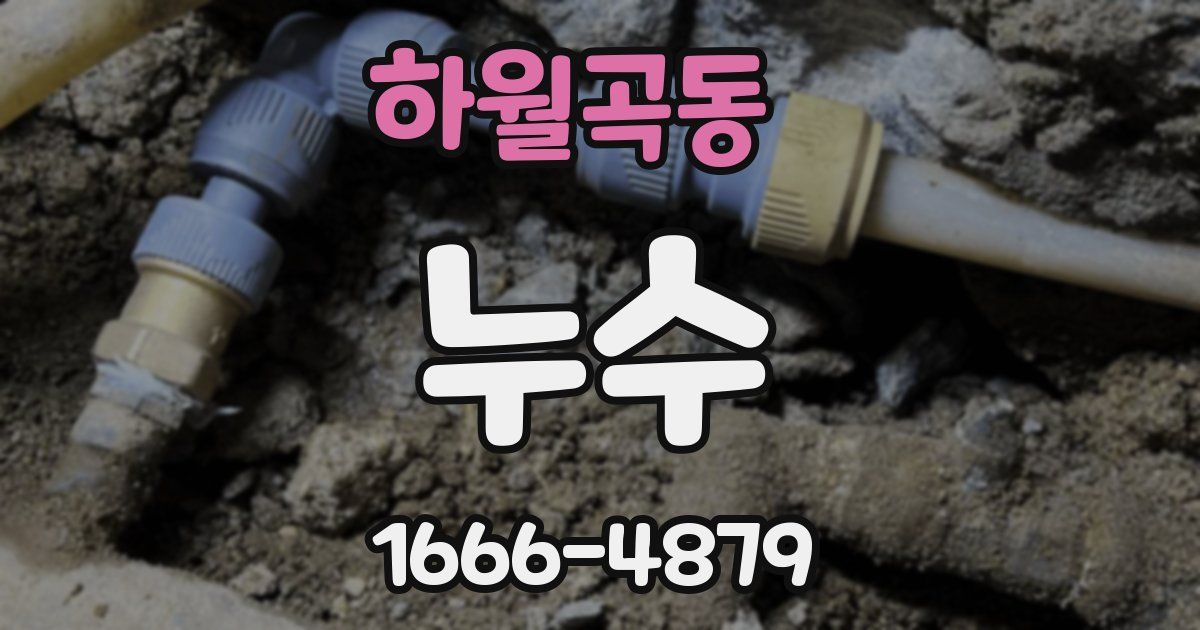 하월곡동 누수