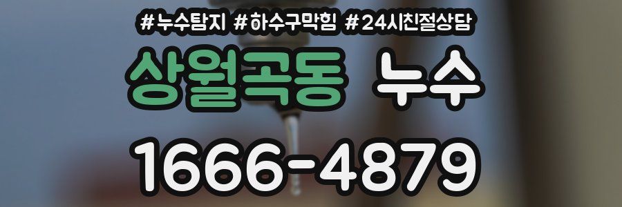 상월곡동 누수