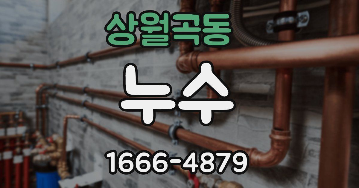 상월곡동 누수