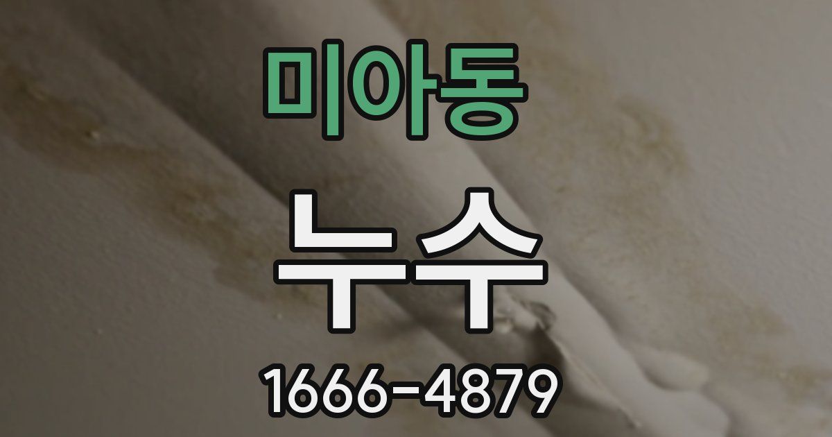미아동 누수