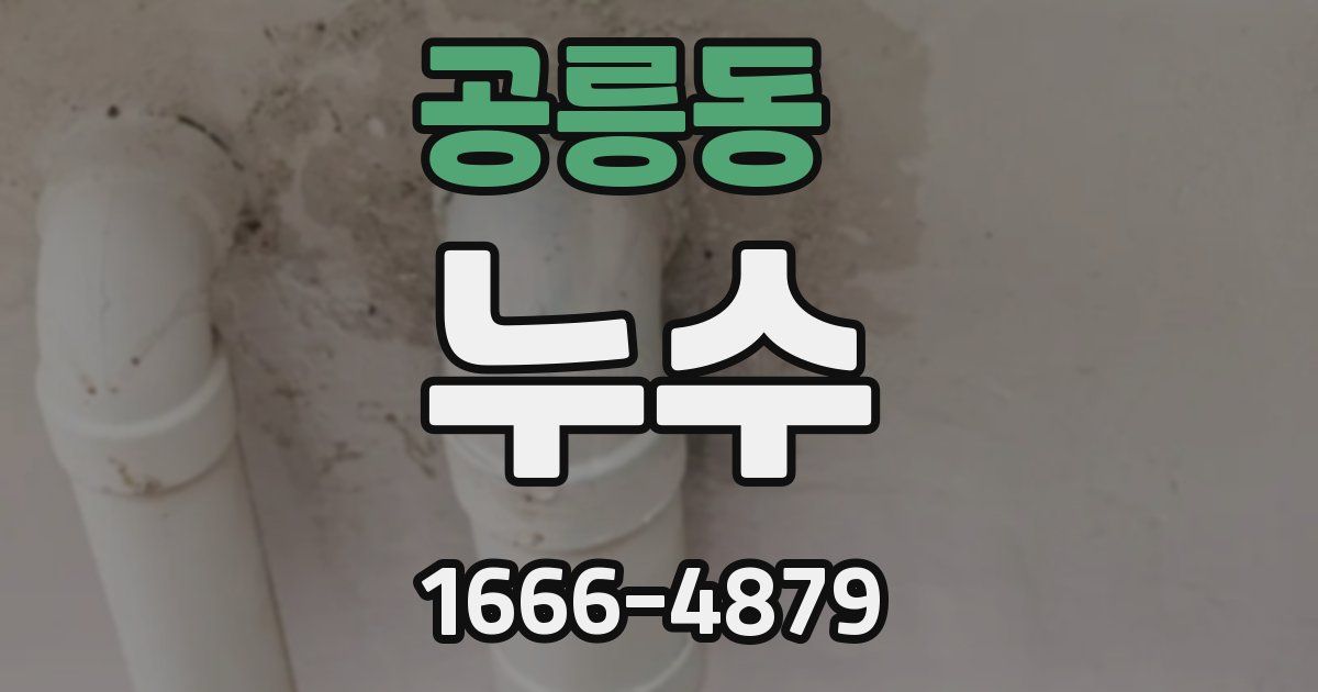 공릉동 누수