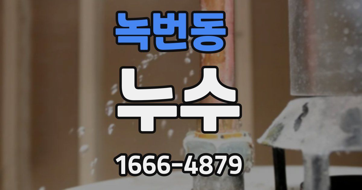녹번동 누수