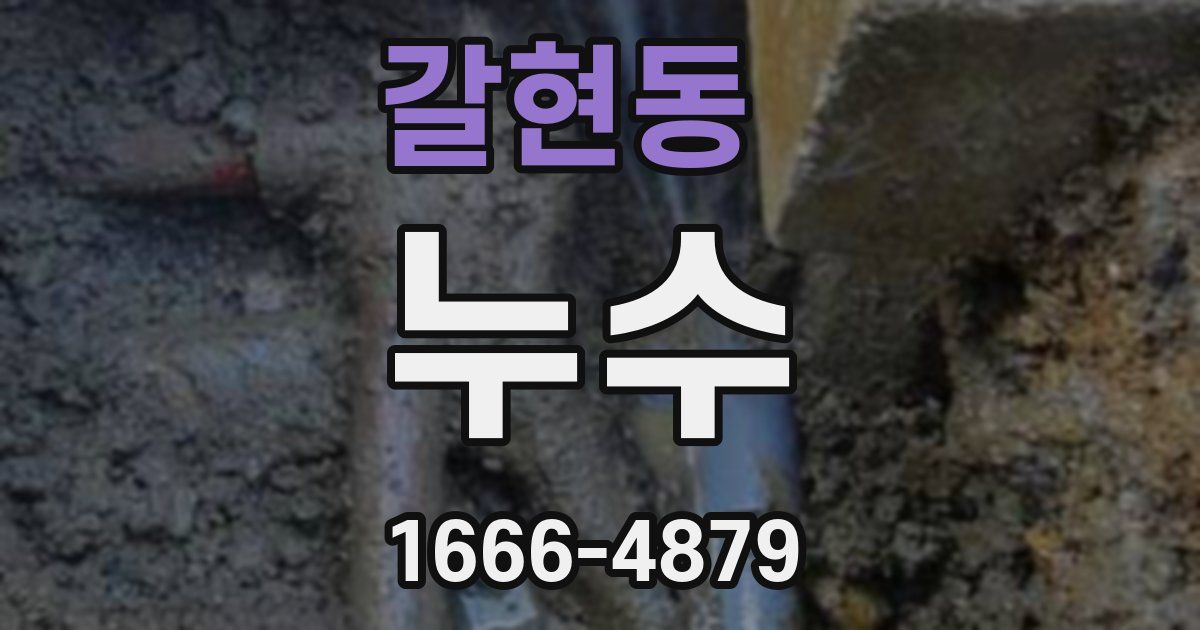 갈현동 누수