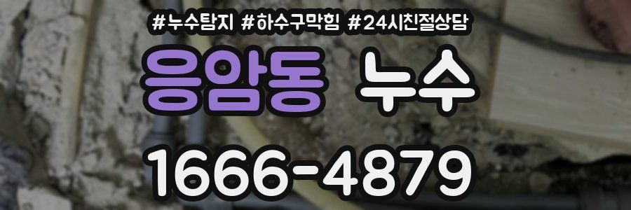 응암동 누수