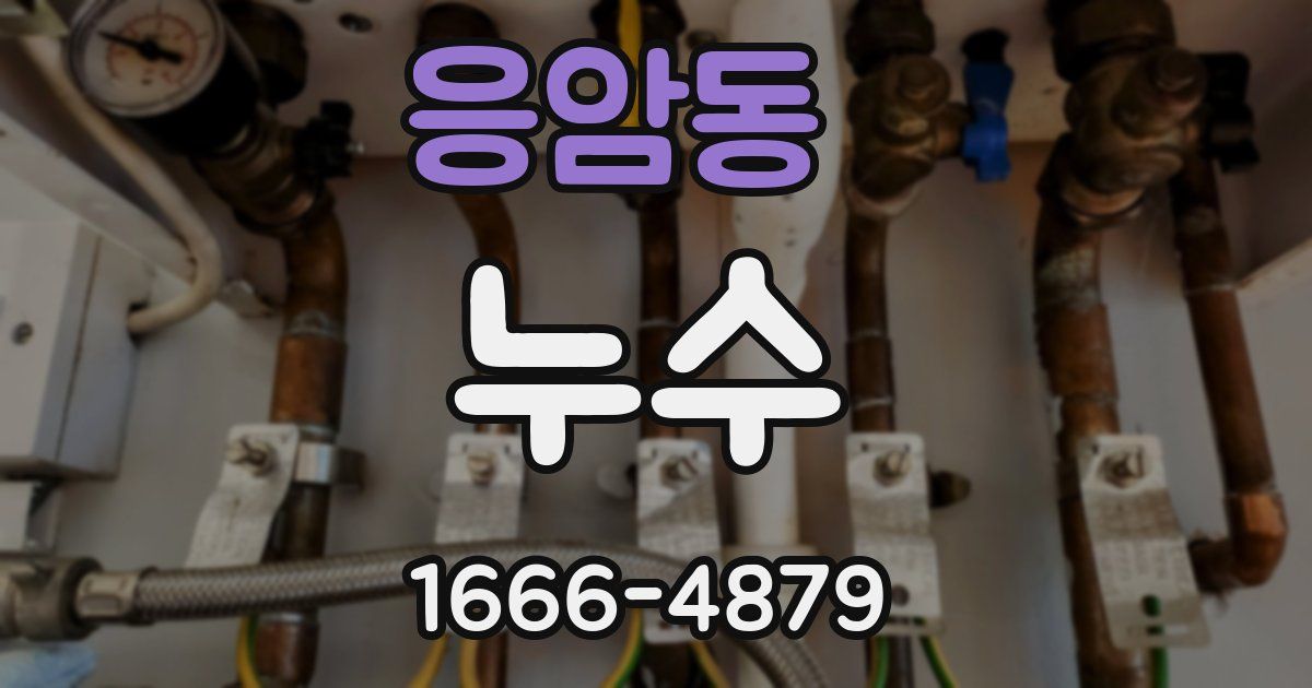 응암동 누수