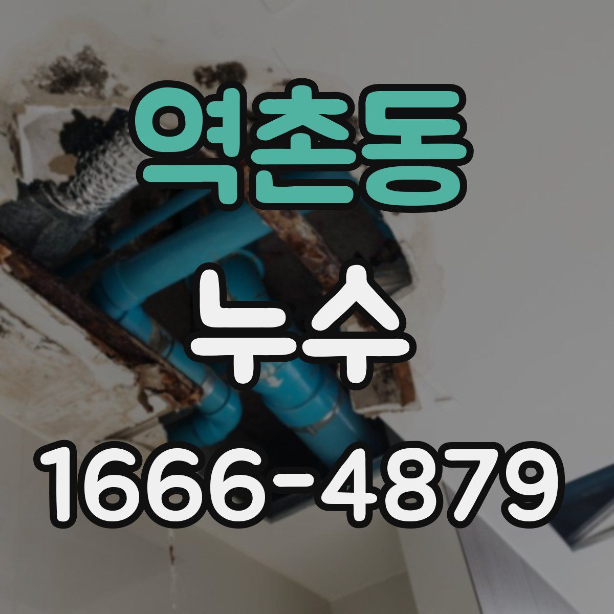 역촌동 누수