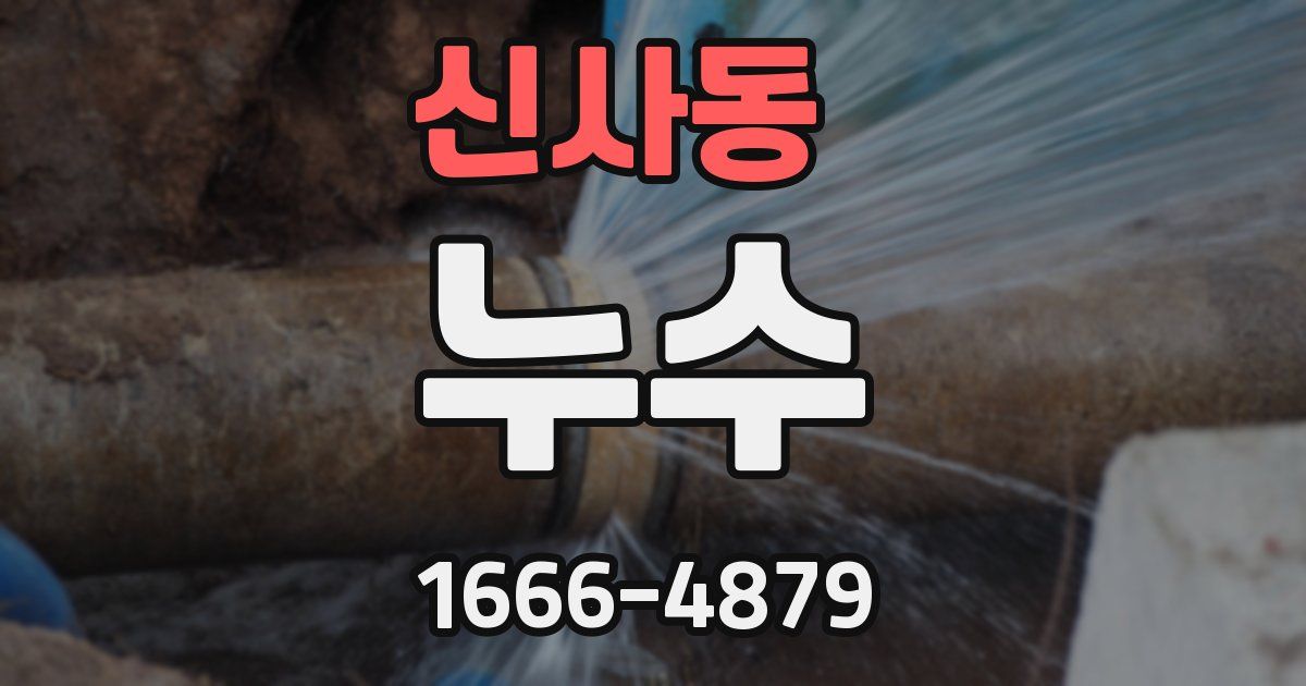 신사동 누수