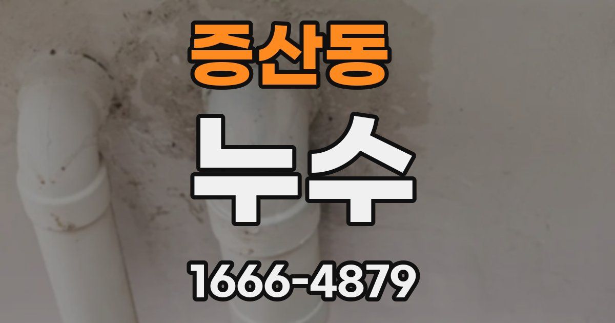 증산동 누수