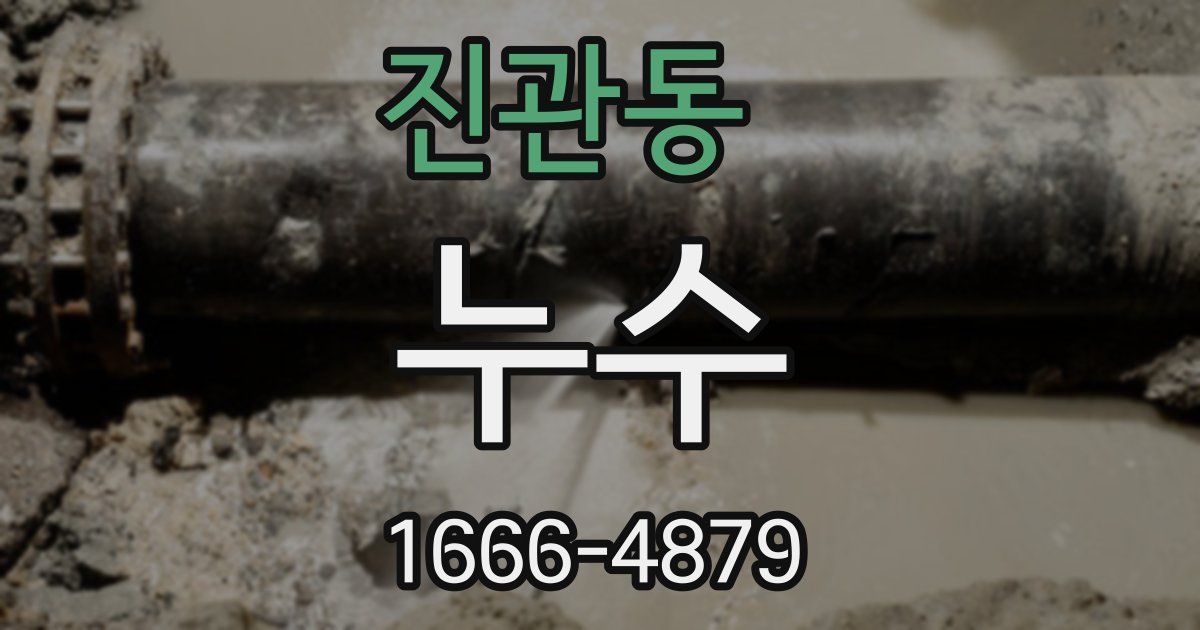 진관동 누수