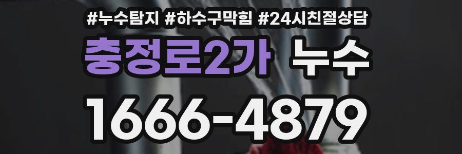 충정로2가 누수