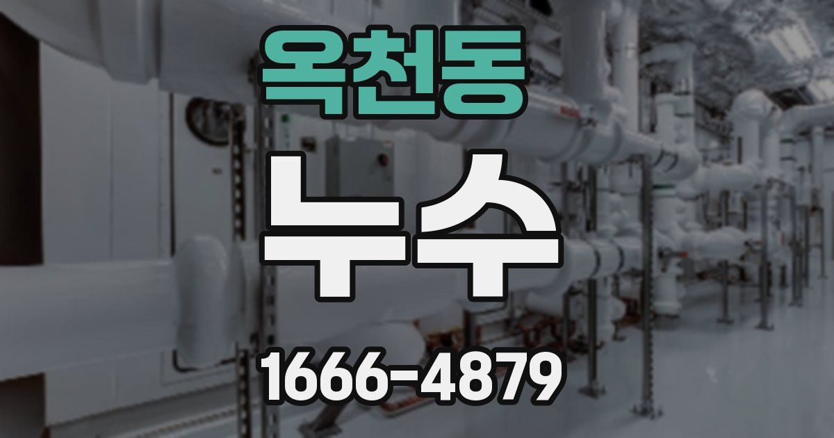 옥천동 누수