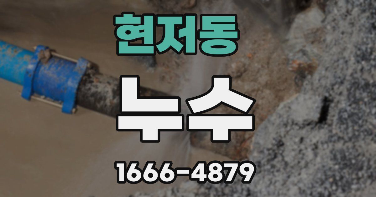 현저동 누수