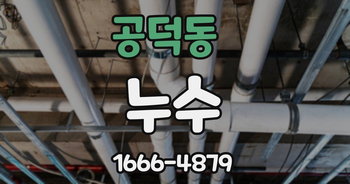 공덕동 누수