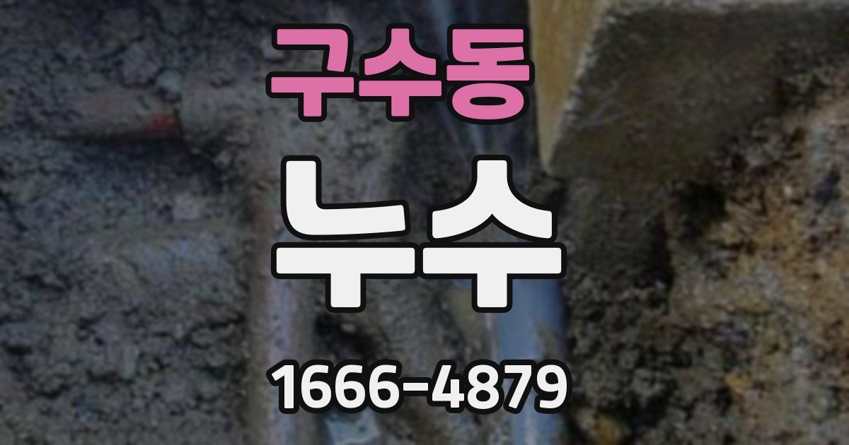 구수동 누수
