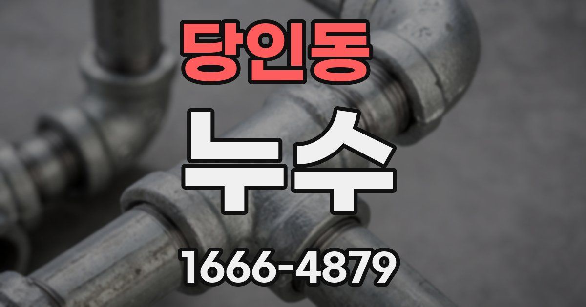 당인동 누수