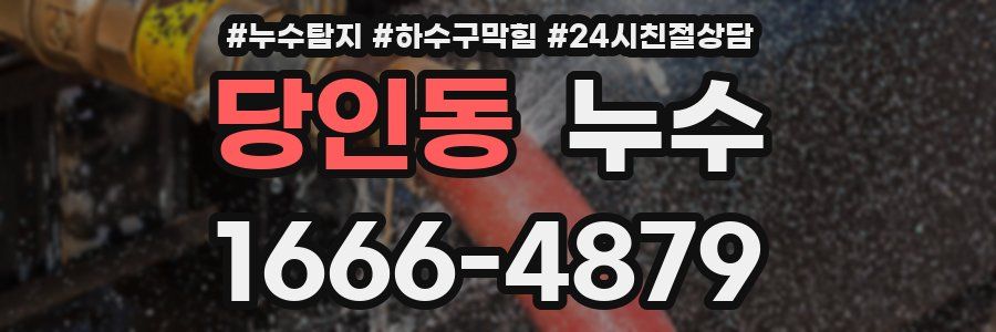 당인동 누수