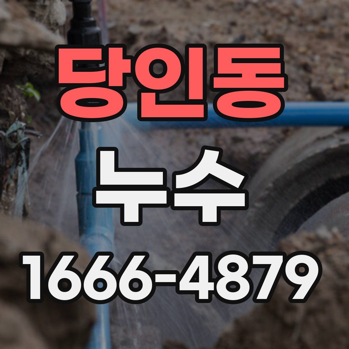 당인동 누수
