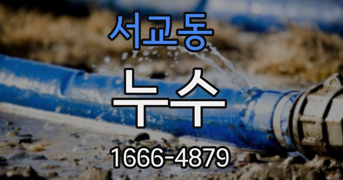 서교동 누수
