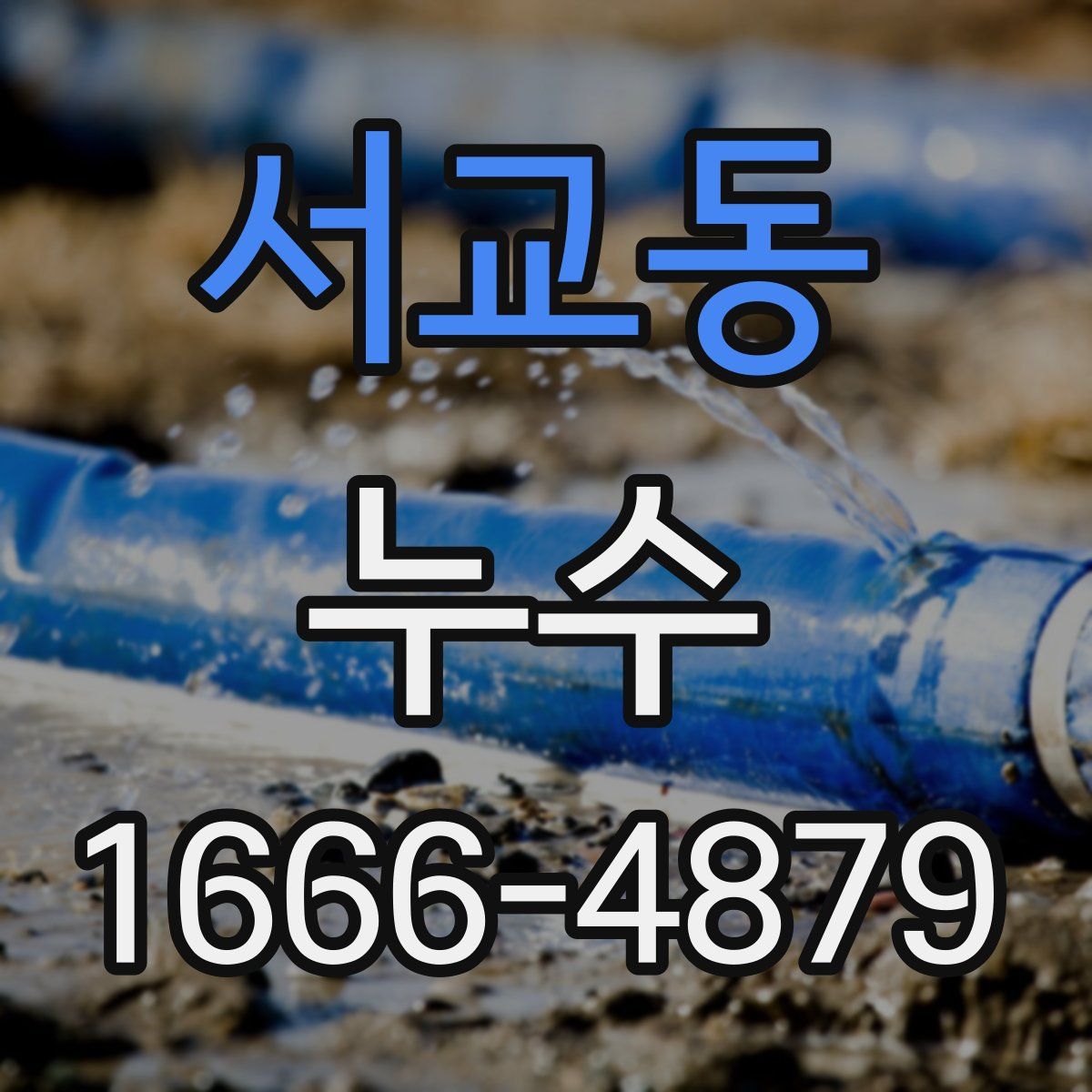서교동 누수