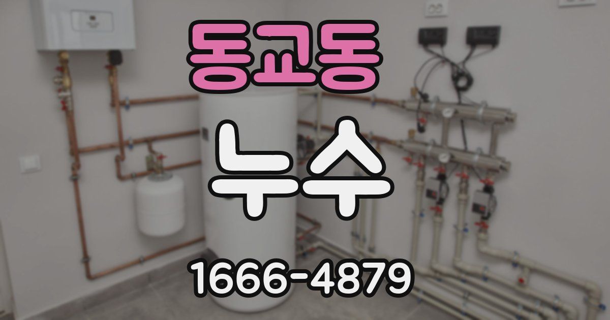 동교동 누수