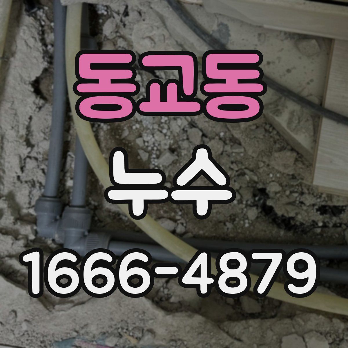 동교동 누수