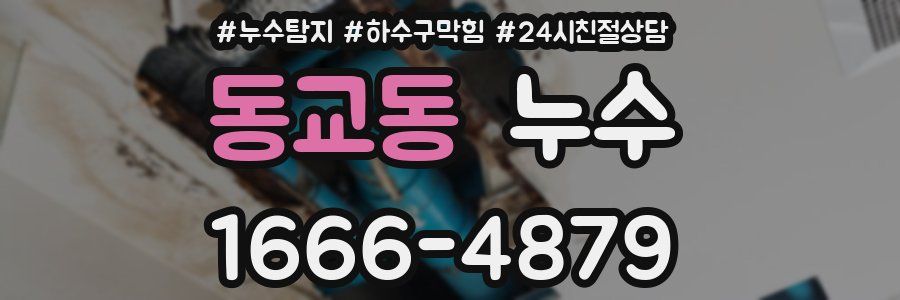 동교동 누수