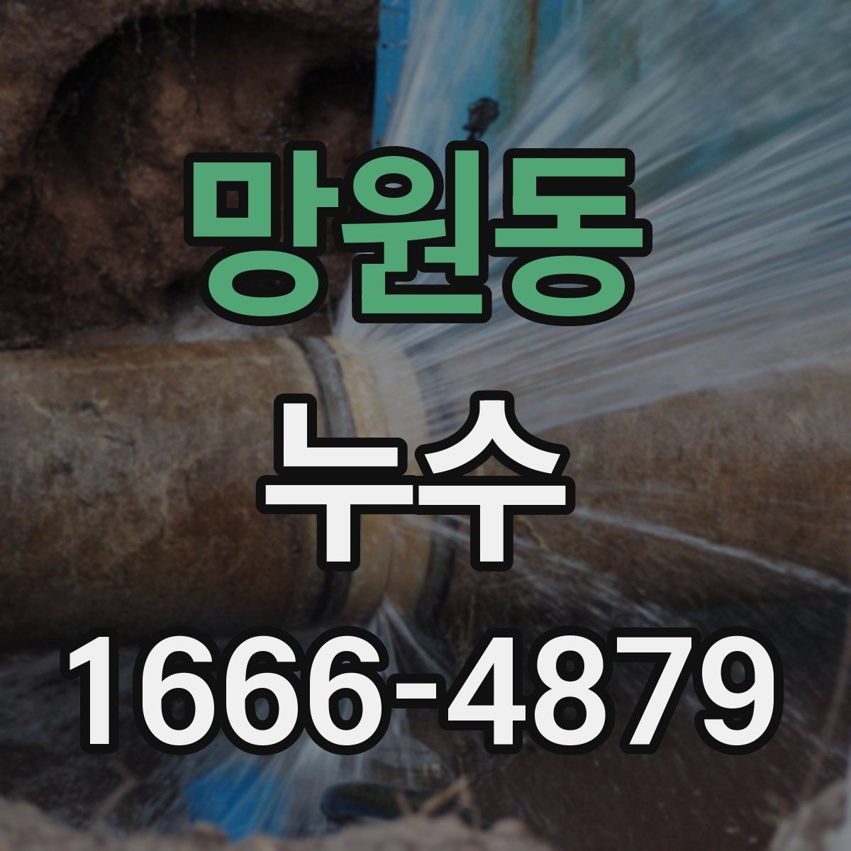 망원동 누수