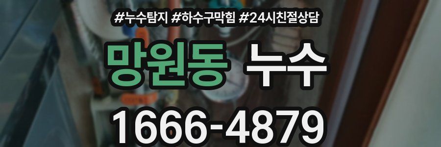 망원동 누수
