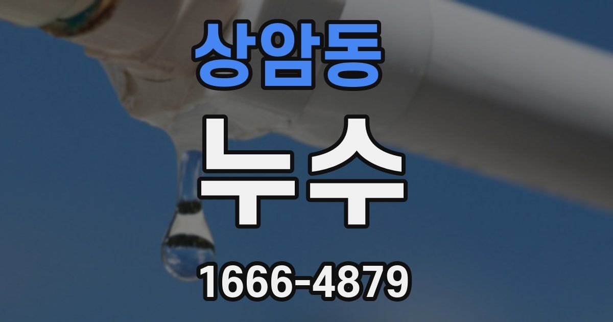 상암동 누수