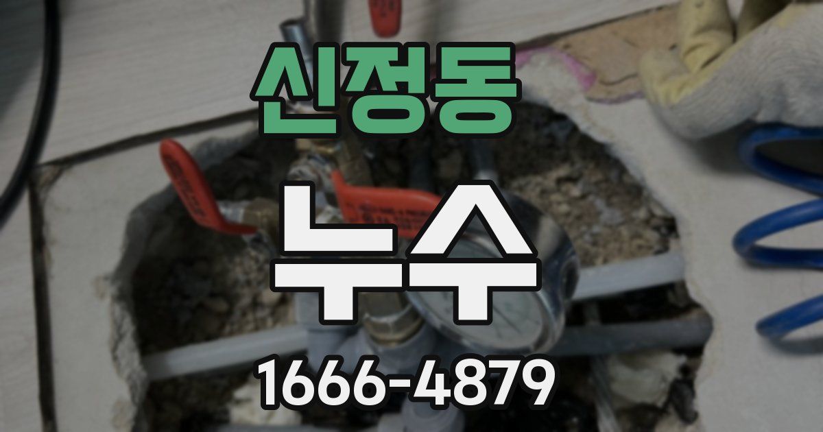 신정동 누수