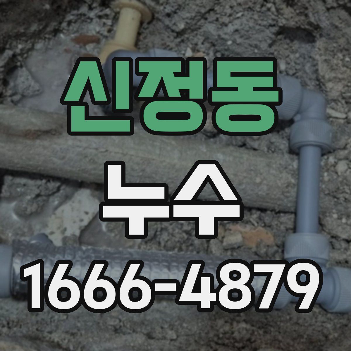 신정동 누수