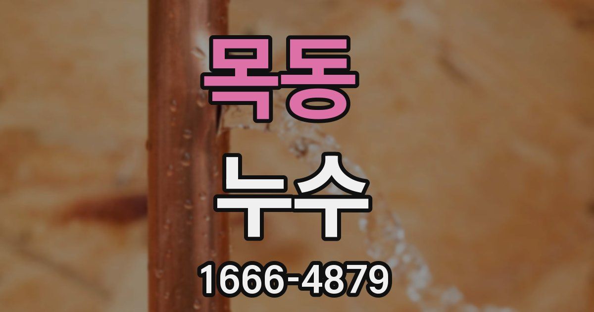 목동 누수