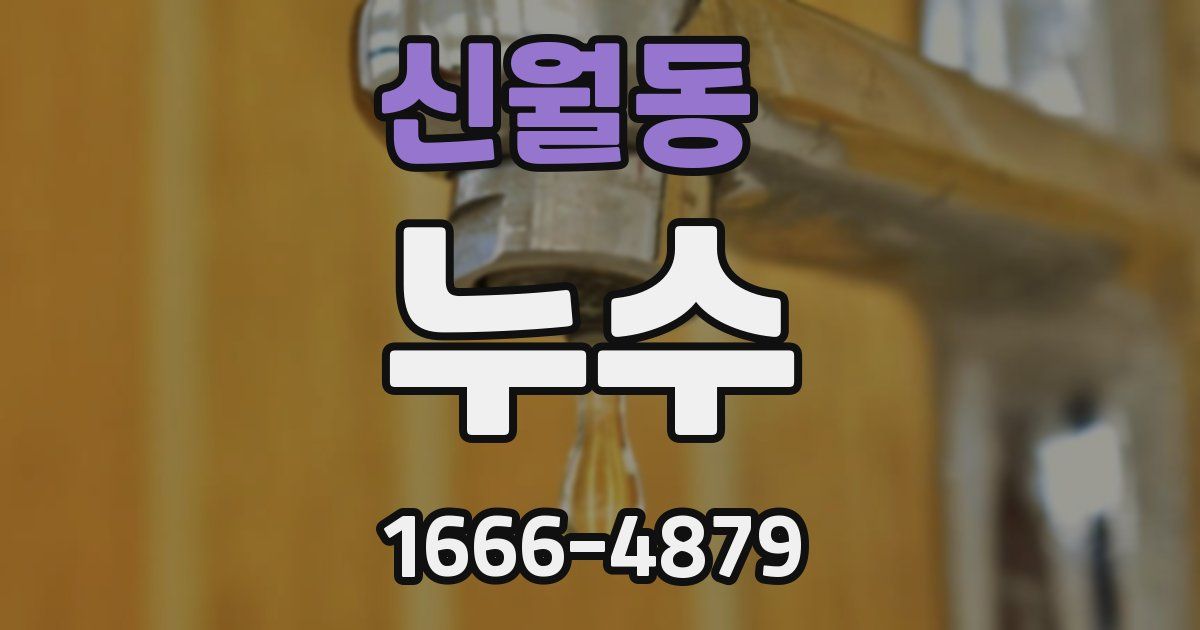 신월동 누수