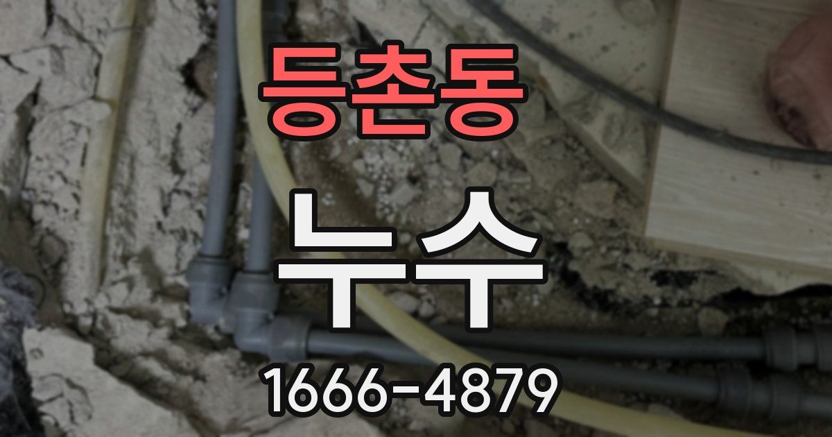 등촌동 누수