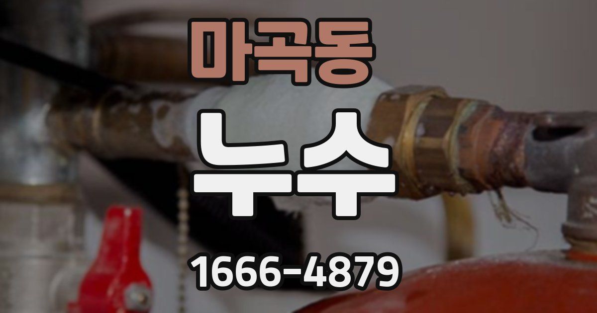마곡동 누수