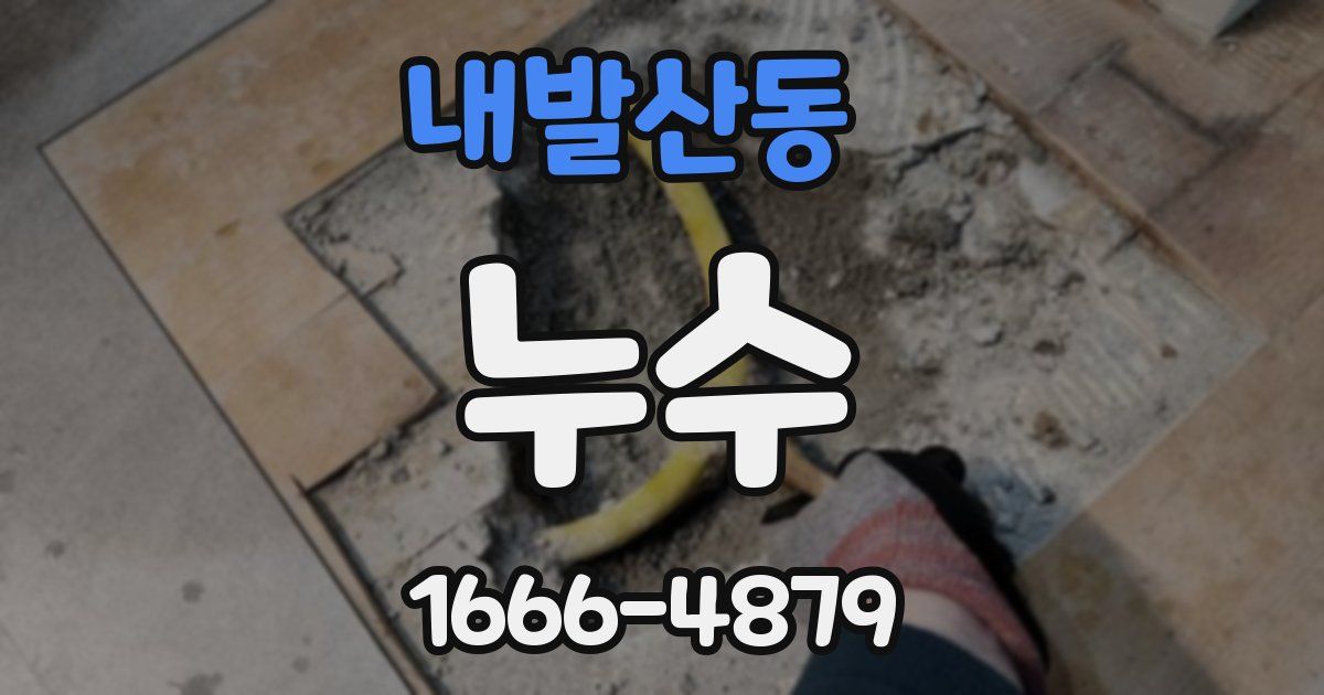내발산동 누수