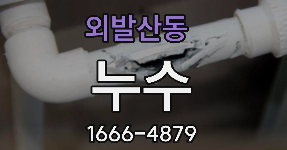 외발산동 누수