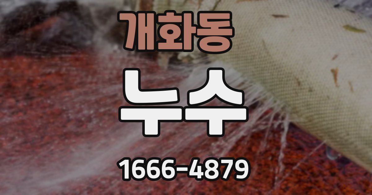개화동 누수