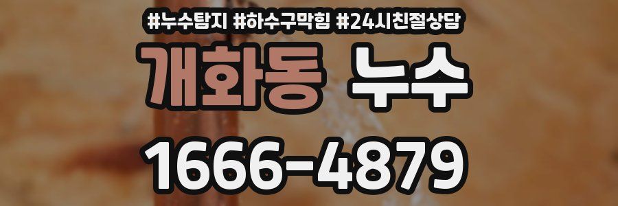 개화동 누수