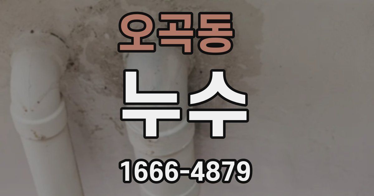 오곡동 누수