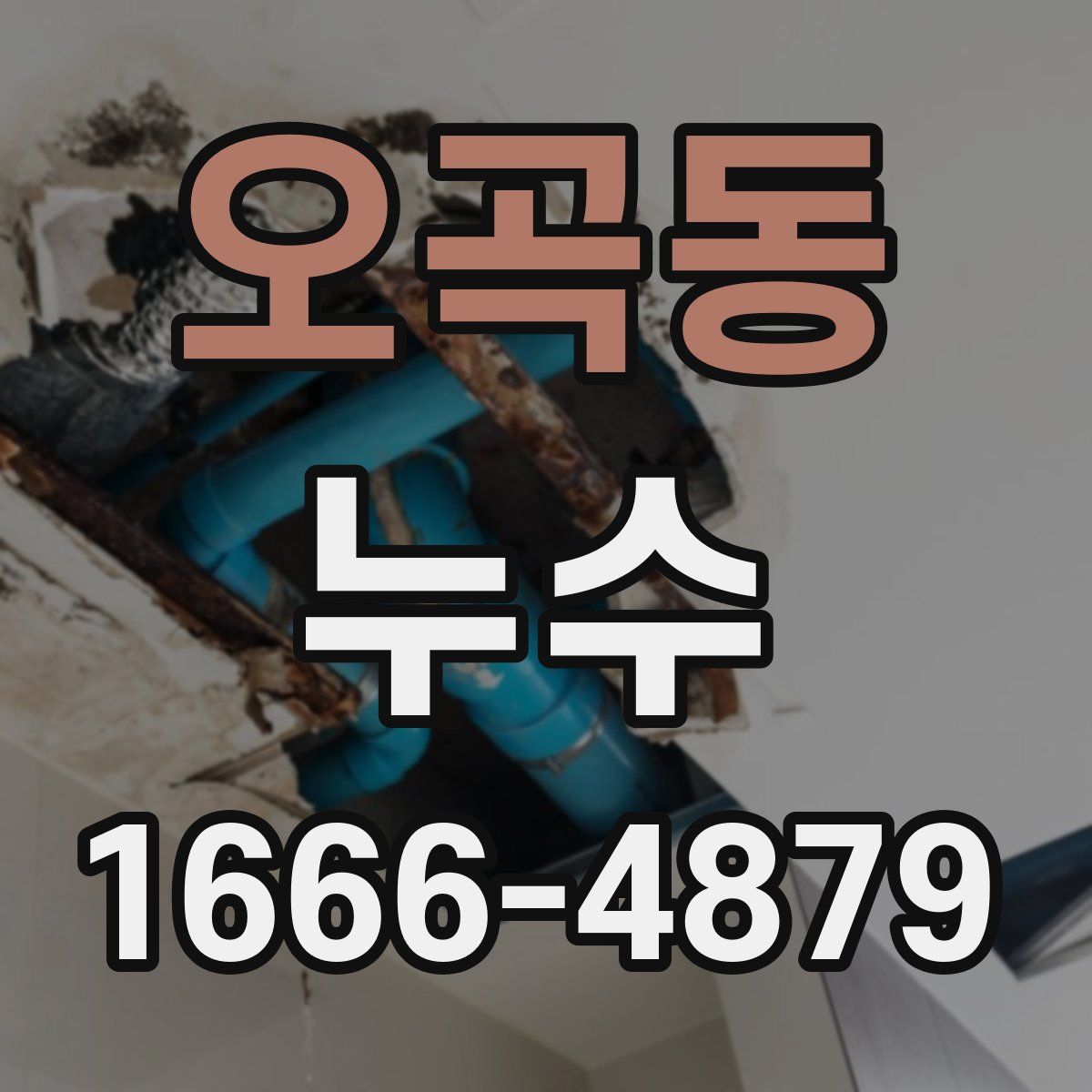 오곡동 누수