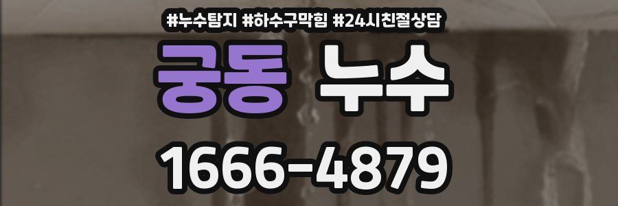 궁동 누수