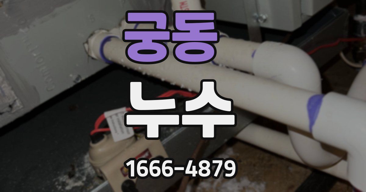 궁동 누수
