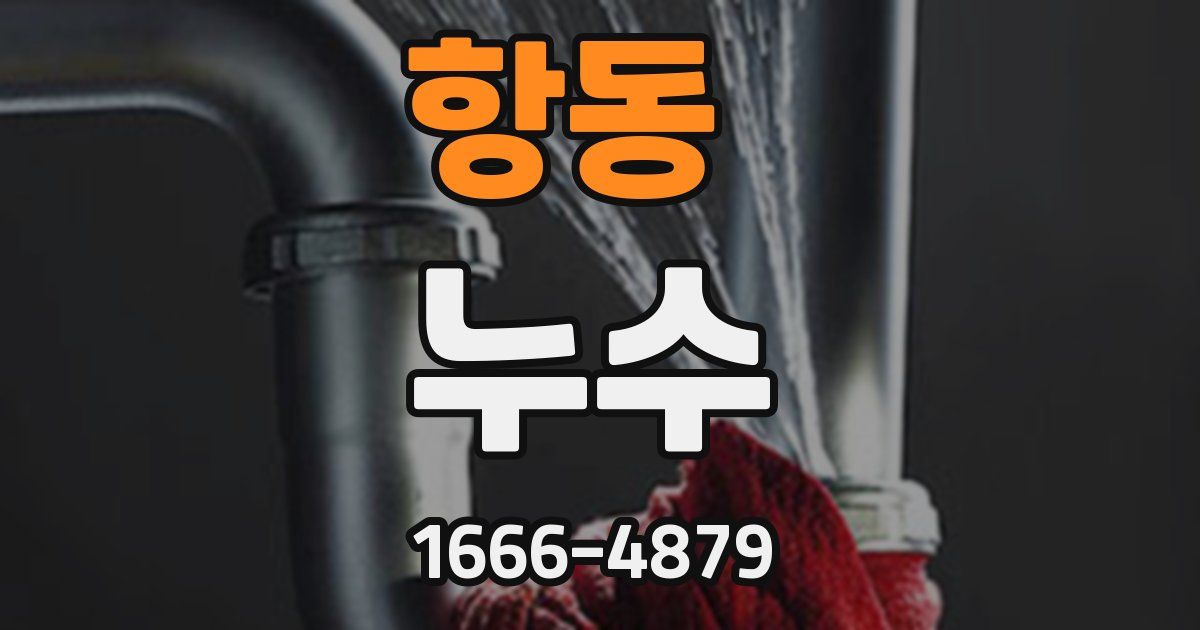 항동 누수