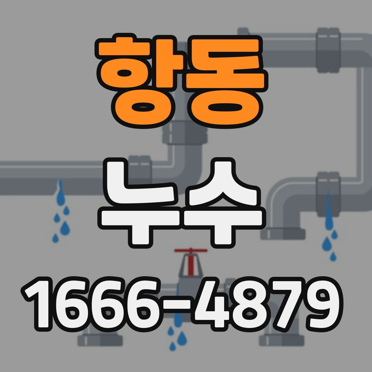 항동 누수
